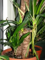 IMG_2895.webp