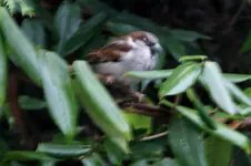 DSC07467.webp