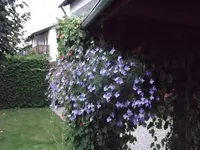 DSCF0746.webp