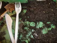 CIMG2334.webp