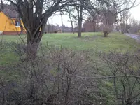 Wiese.webp