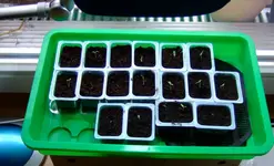 DSCF7013.2.webp