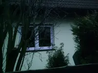 PIC01165.webp