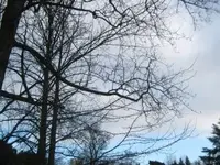 Bild 7057.webp