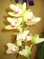 IMG_2905.webp