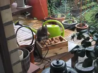 DSCF0454.webp
