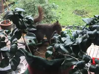 DSCF0474.webp