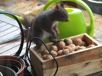 DSCF0517.webp