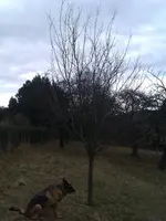 IMAG0037.webp
