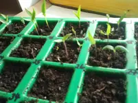 Foto0123.webp