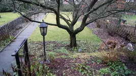 DSC05756.webp