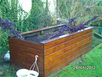 003.webp