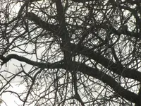 Bild 203.webp