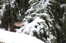 abflug.webp