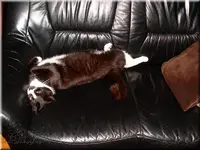 floyd4.webp
