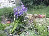 PIC00143.webp