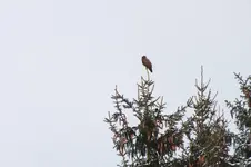 2012_0124winter0167.webp