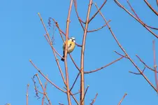 2012_0125winter0003.webp