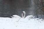 2012_0124winter0182.jpg