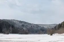 2012_0124winter0152.webp