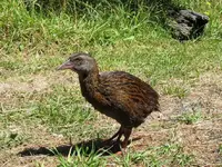 Copy of IMG_8298 v.webp