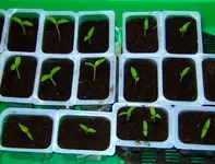 DSCF7176.2.webp