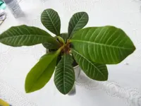 K800_DSCF7288.webp