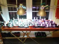 Foto0124.webp