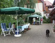Schwalbenwand.webp