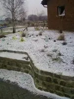 Jan12_08.webp