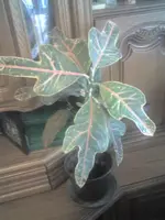 Wie 28-01-12_1407.webp