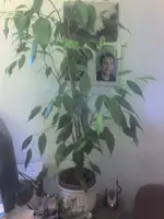 Name 28-01-12_1409.webp