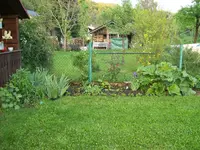 100_4083.webp