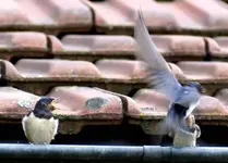 dsc00948r[1].webp