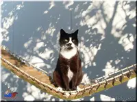 SL373473.webp
