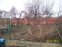 K800_103_4026.webp