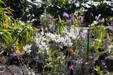 blog_4669.webp