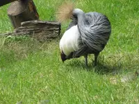 Bild 909.webp