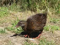 IMG_8304v.webp