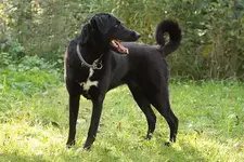 Jule.webp