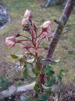 DSC05958.webp