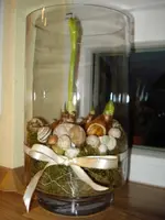 DSC05975.webp