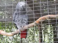 Bild 927.webp