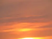 Bild 987.webp