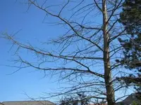 Bild 064.webp