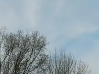 DSCN0968.webp