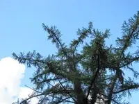 Bild 080.webp