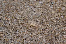 blog_1582.webp