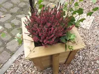 Bild 012.webp