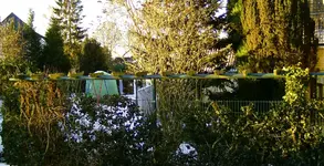 zaun1.webp